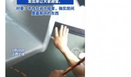 深圳网友陈女士最新爆料,揭秘事件背后惊人真相！